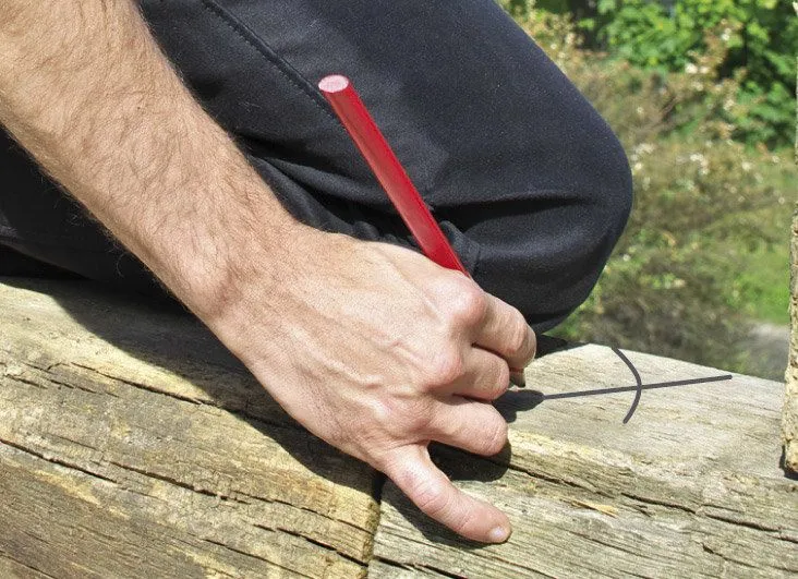 pica_540.jpg