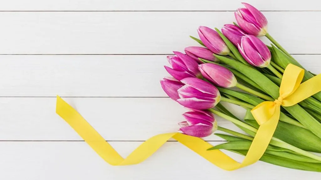 8_marta.jpg 8_marta.jpg